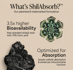 RØOT Labs Magnesium + Ashwagandha