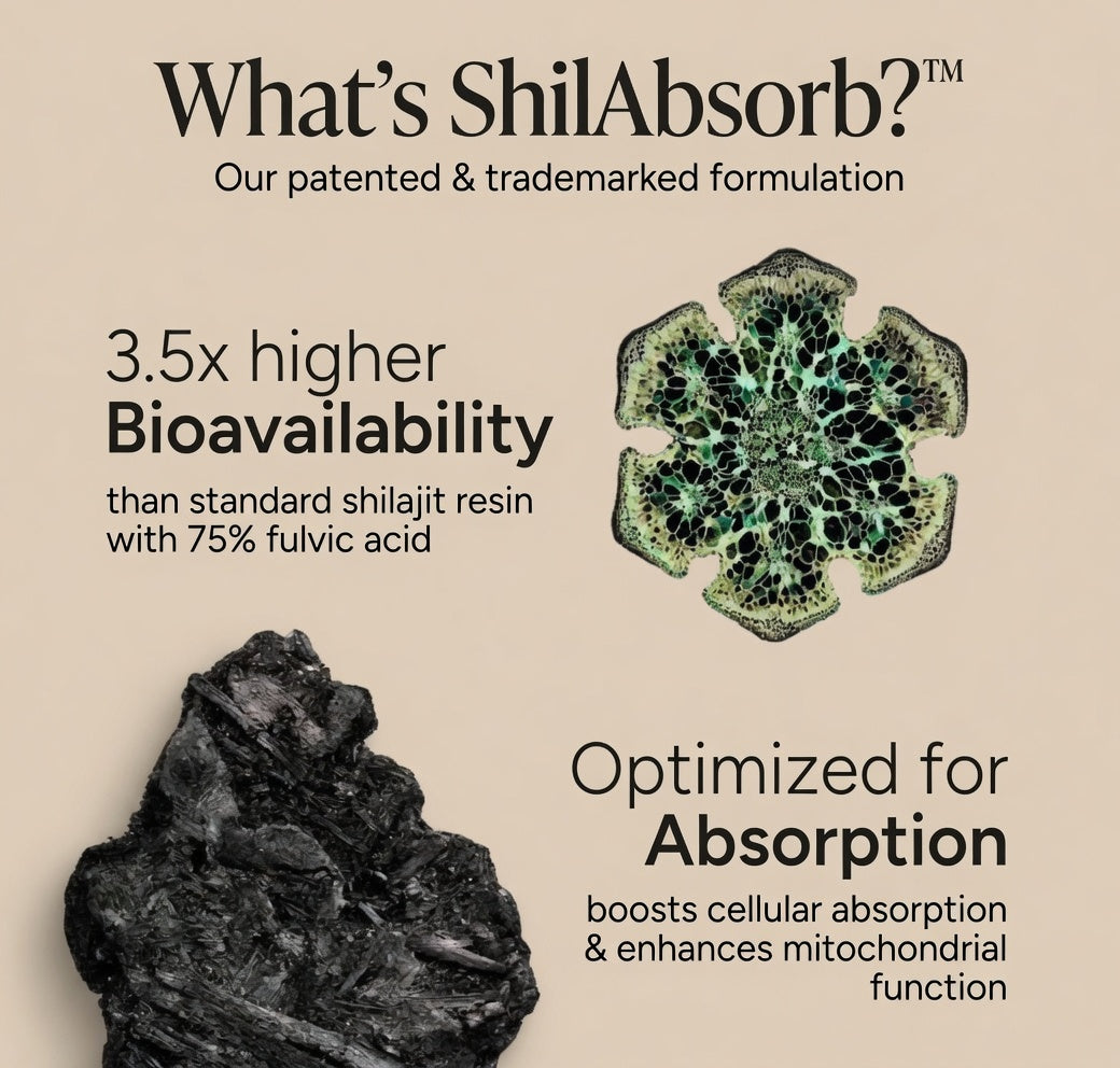 RØOT Labs Magnesium + Ashwagandha